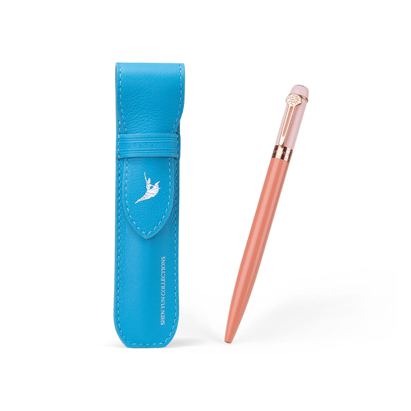 Content pen and pencase comb01